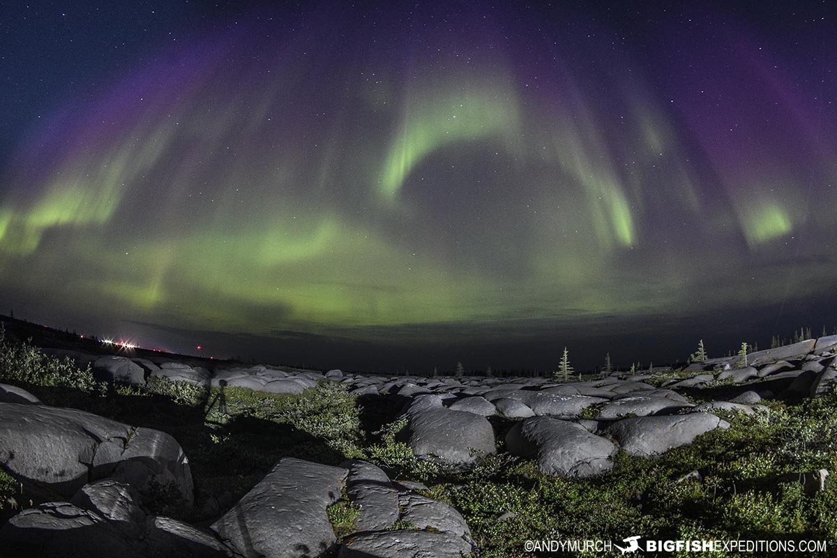 Aurora Borealis photography class in Churchill.