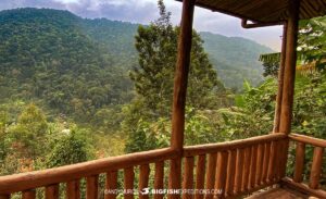 Bwindi Impenetrable Forest Gorilla Trekking.