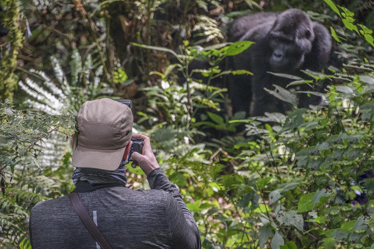 Wildlife photography tours.