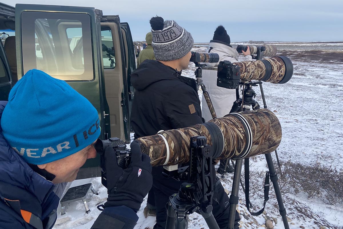 VIP Polar Bear Photography Tour